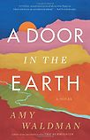 A Door In the Earth by Amy Waldman