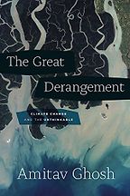 The best books on The Politics of Climate Change - The Great Derangement: Climate Change and the Unthinkable by Amitav Ghosh