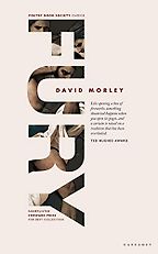 The Best Poetry Books of 2020 - Fury by David Morley