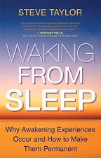 The best books on Psychological Trauma - Waking From Sleep by Steve Taylor The best books on Psychological Trauma - Waking From Sleep by Steve Taylor