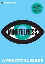 The best books on Mindfulness - Introducing Mindfulness: A Practical Guide by Tessa Watt