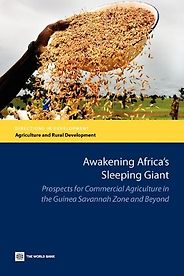The best books on Africa through African Eyes - Awakening Giant Africa by Charles Nhova The best books on Africa through African Eyes - Awakening Giant Africa by Charles Nhova