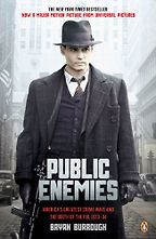 The best books on The FBI and Crime - Public Enemies by Bryan Burrough