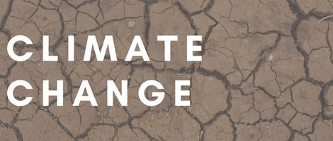 Climate change books