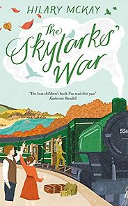 Editors’ Picks: The Best Children’s Fiction of 2018 - The Skylarks' War by Hilary McKay
