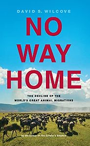 The best books on Ecology - No Way Home: The Decline of the World's Great Animal Migrations by David S. Wilcove The best books on Ecology - No Way Home: The Decline of the World's Great Animal Migrations by David S. Wilcove