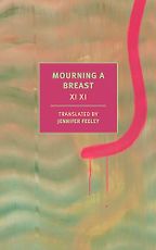 The Best Hong Kong Novels - Mourning a Breast Xi Xi and Jennifer Feeley (translator)
