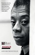 The Best Nonfiction Books of 2026: The Baillie Gifford Prize Shortlist - Baldwin: A Love Story by Nicholas Boggs