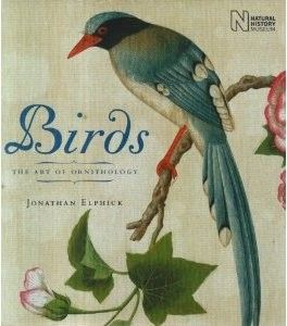 The best books on Birds - Birds by Jonathan Elphick
