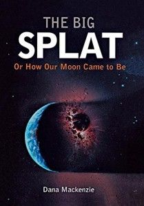 The best books on The Beauty and Fun of Mathematics - The Big Splat by Dana Mackenzie