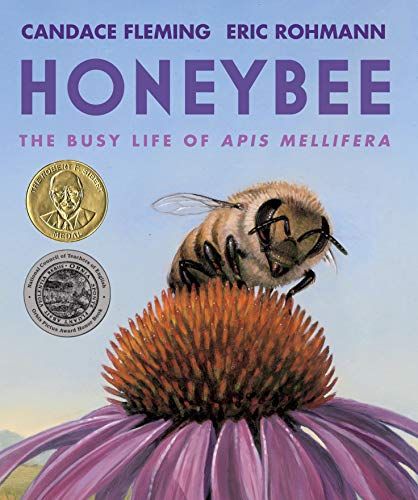 Honeybee: The Busy Life of Apis Mellifera by Candace Fleming & Eric Rohmann (illustrator)