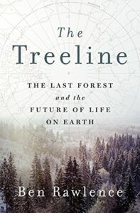 The best books on Climate Adaptation - The Treeline: The Last Forest and the Future of Life on Earth by Ben Rawlence