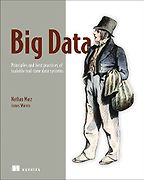 The best books on Learning Python and Data Science - Big Data: Principles and Best Practices of Scalable Realtime Data Systems Nathan Marz (with James Warren)