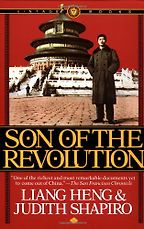 The best books on Popular Protest in China - Son of the Revolution by Liang Heng, Judith Shapiro The best books on Popular Protest in China - Son of the Revolution by Liang Heng, Judith Shapiro