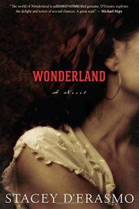 Kayla Rae Whitaker on Stories about Women Artists - Wonderland by Stacey D'Erasmo