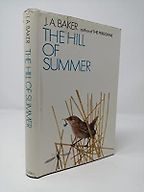 The best books on Summer - The Hill of Summer by J A Baker The best books on Summer - The Hill of Summer by J A Baker