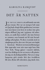Dorthe Nors on the best Contemporary Scandinavian Literature - Det är natten by Karolina Ramqvist