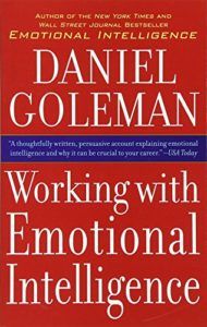 Working With Emotional Intelligence by Daniel Goleman