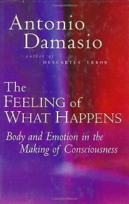 The best books on The Human Brain - The Feeling of What Happens by Antonio Damasio
