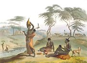 African Scenery and Animals by Samuel Daniell African Scenery and Animals by Samuel Daniell