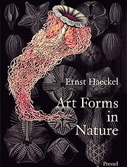 Art Forms in Nature by Ernst Haeckel Art Forms in Nature by Ernst Haeckel