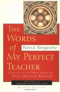 The best books on Buddhism - Words of My Perfect Teacher by Patrul Rinpoche