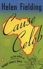 The best books on Aid Work - Cause Celeb by Helen Fielding
