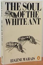 The best books on Entomology - The Soul of the White Ant by Eugene Rogan and Avi Shlaim