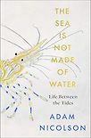 The Sea Is Not Made of Water: Life Between the Tides by Adam Nicolson