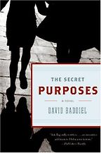 The Secret Purposes by David Baddiel The Secret Purposes by David Baddiel