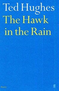 Hawk In The Rain by Ted Hughes