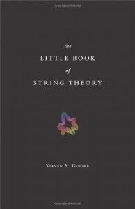 The best books on String Theory - The Little Book of String Theory by Steven Gubser