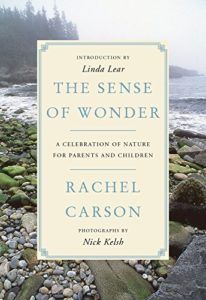 The best books on Science and Wonder - The Sense of Wonder by Rachel Carson