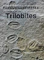 The best books on Palaeontology - Trilobites by H B Whittington The best books on Palaeontology - Trilobites by H B Whittington