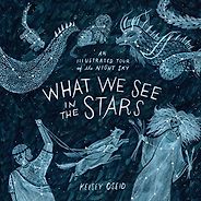 The Best Children’s Nonfiction of 2018 - What We See in the Stars: An Illustrated Tour of the Night Sky by Kelsey Oseid