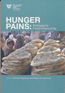 The best books on Reform in Pakistan - Hunger Pains by Michael Kugelman and Robert M Hathaway (editors)