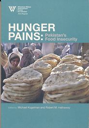The best books on Reform in Pakistan - Hunger Pains by Michael Kugelman and Robert M Hathaway (editors) The best books on Reform in Pakistan - Hunger Pains by Michael Kugelman and Robert M Hathaway (editors)