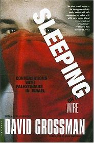 The best books on Palestinians in Israel - Sleeping on a Wire: Conversations with Palestinians in Israel by David Grossman