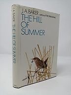 The best books on Birds - The Hill of Summer by J A Baker