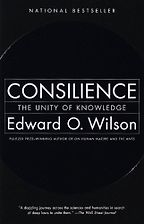 The best books on Neuroscience - Consilience by Edward O. Wilson The best books on Neuroscience - Consilience by Edward O. Wilson