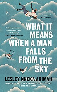 Marina Warner on Fairy Tales - What It Means When a Man Falls from The Sky by Lesley Nneka Arimah Marina Warner on Fairy Tales - What It Means When a Man Falls from The Sky by Lesley Nneka Arimah