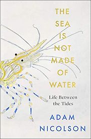 The Sea Is Not Made of Water: Life Between the Tides by Adam Nicolson The Sea Is Not Made of Water: Life Between the Tides by Adam Nicolson