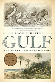 The Gulf: The Making of An American Sea by Jack E. Davis The Gulf: The Making of An American Sea by Jack E. Davis