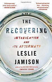 The best books on Addiction - The Recovering: Intoxication and Its Aftermath by Leslie Jamison The best books on Addiction - The Recovering: Intoxication and Its Aftermath by Leslie Jamison