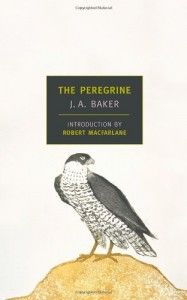 The best books on First-Person Narratives - The Peregrine by JA Baker