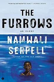 Notable New Novels of Fall 2022 - The Furrows: An Elegy by Namwali Serpell