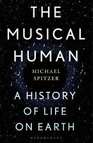 The best books on Sound - The Musical Human: A History of Life on Earth by Michael Spitzer The best books on Sound - The Musical Human: A History of Life on Earth by Michael Spitzer