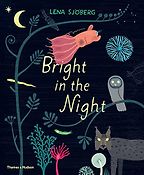 Beautiful Science Books for 4-8 Year Olds - Bright in the Night by Lena Sjöberg Beautiful Science Books for 4-8 Year Olds - Bright in the Night by Lena Sjöberg