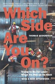 The best books on The Reagan Era - Which Side Are You on?: Trying to Be for Labor When It's Flat on Its Back by Thomas Geoghegan The best books on The Reagan Era - Which Side Are You on?: Trying to Be for Labor When It's Flat on Its Back by Thomas Geoghegan