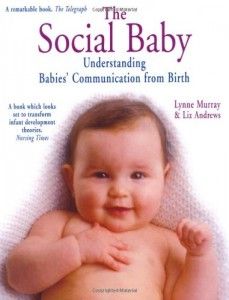 The best books on Life Before Birth – And Life After It - The Social Baby by Lynne Murray, Liz Andrews